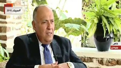 الخارجية: لن يفرض علينا شيء في سد النهضة وسندافع عن مصالح شعبنا (فيديو)