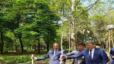 شجرة البحر الأحمر تصل كازاخستان