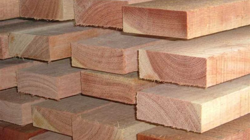 تعرف على حقيقة حظر