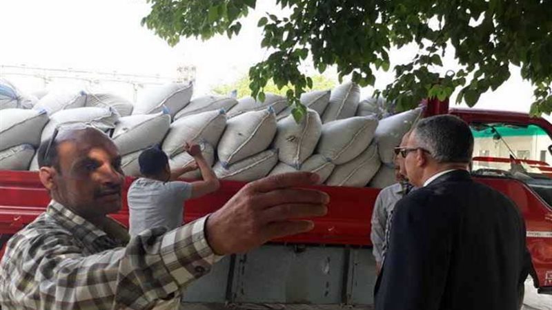 توريد 4 آلاف طن قمح