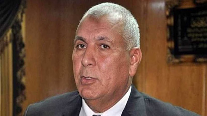 محافظ الوادي الجديد