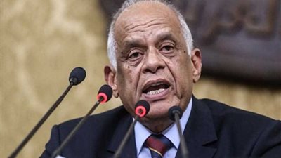 رئيس النواب: قانون الإدارة المحلية الجديد يراعي أسس تطوير المحليات