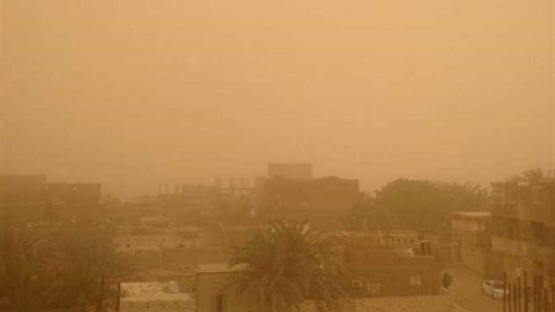 الوادي الجديد تتعرض