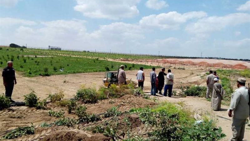 المنوفية تسترد 15