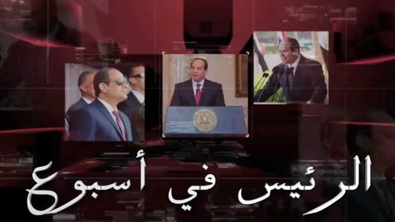 نشاط الرئيس السيسي