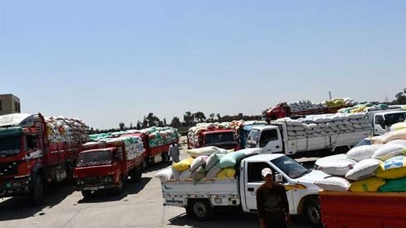 توريد 60 ألف طن قمح