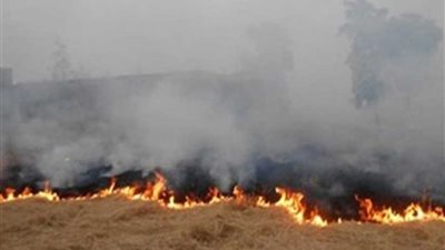 السيطرة على حريق في 3 أفدنة قمح بالمنيا