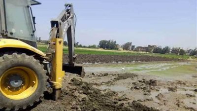 حملة لإزالة مشاتل الأرز المخالفة بمركز طنطا