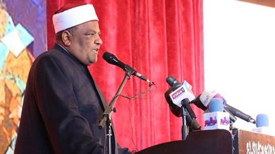 وكيل الأزهر: الفن يمكن أن يعالج مشكلات المجتمع