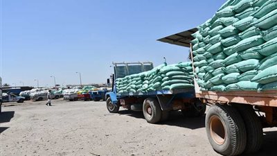 توريد ​102​ ألف طن قمح لشون وصوامع البحيرة