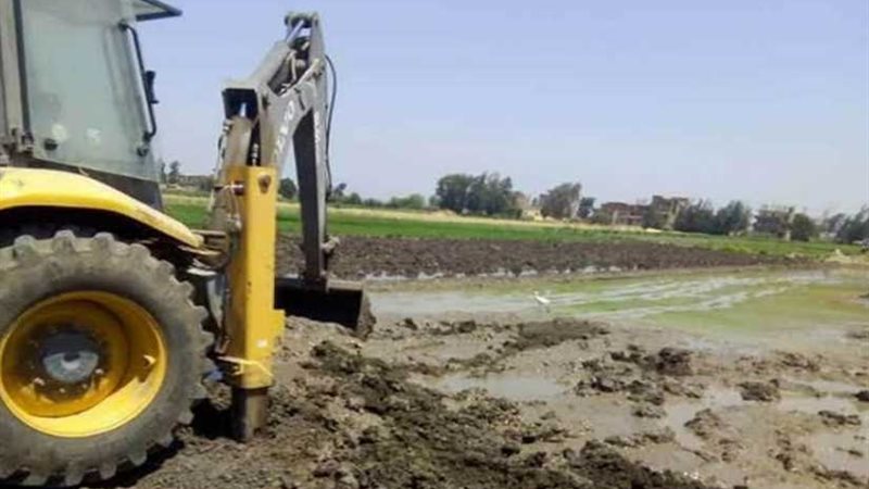 حملة لإزالة مشاتل