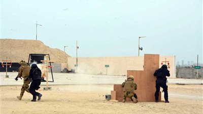 مقاومة الإرهاب في ختام فعاليات التدريب المصري البحريني 