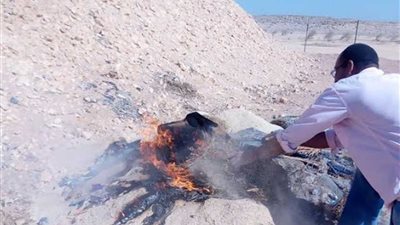 إعدام 40 شكارة ردة مغشوشة تنفيذًا لقرار النيابة العامة بمركز الغنايم