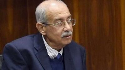 المحافظين..معالجة نطم الصرف وتعدد مصادر الطاقة بالمحافظات