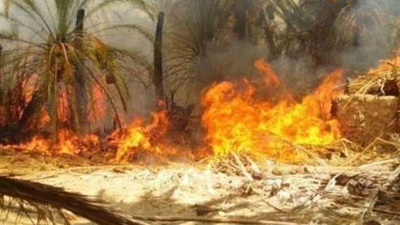 البحيرة.. حريق هائل