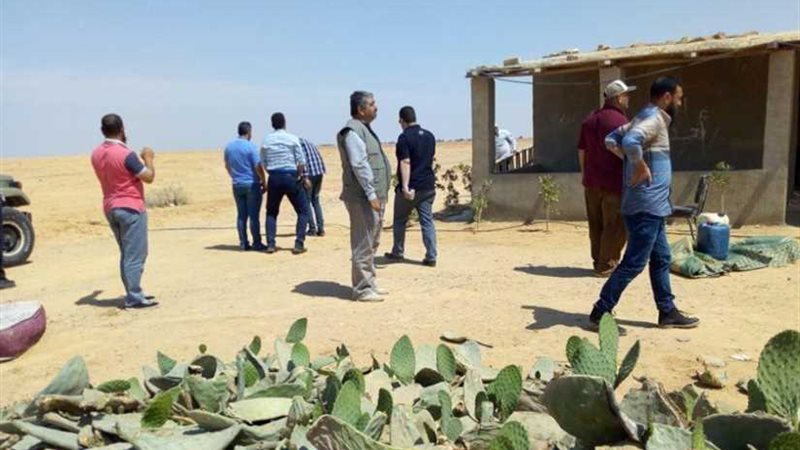 البحيرة تسترد 3200