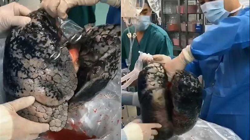 شاهد..جريمة يرتكبها