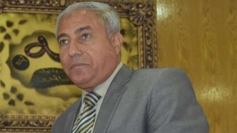 محافظ أسوان: المحافظة