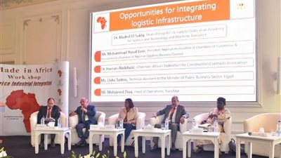 قطاع الأعمال : ضرورة إنشاء مخازن لوجيستية وتأمين الشحنات لمواجهة مشكلات التجارة بأفريقيا