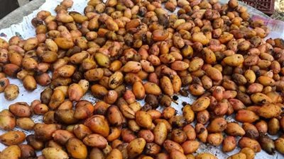 وكيل وزارة الصحة بالشرقية يقود حملة مكبرة على أسواق العاشر من رمضان