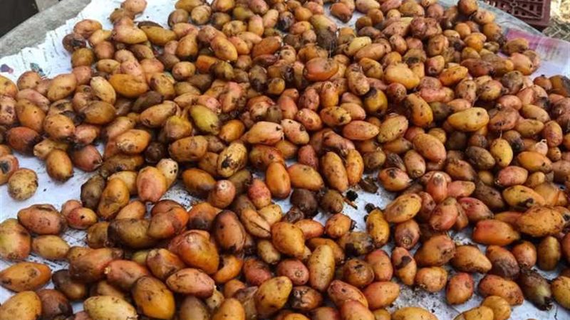 وكيل وزارة الصحة