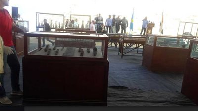 عاجل.. كشف أثري جديد عن مقبرة وحيوانات متنوعة بسقارة