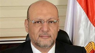 أبو العطا: السيسي مهموم بقضايا القارة الإفريقية