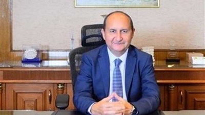 وزير التجارة يؤكد حرص مصر على دعم جهود التنمية في إفريقيا