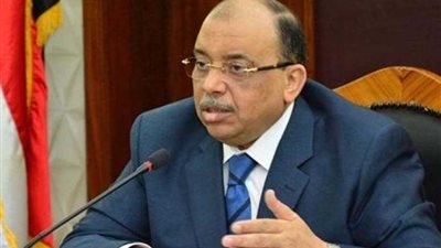 وزير التنمية المحلية: نضع كافة إمكاناتنا في خدمة الأشقاء الأفارقة
