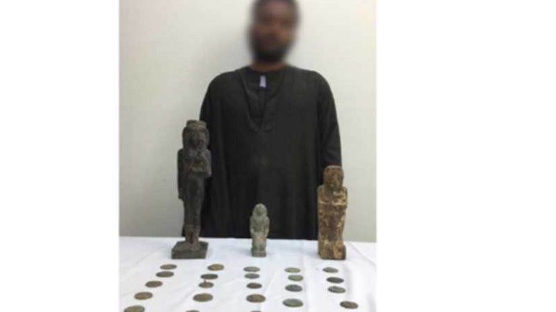 ضبط مزارع بالمنيا