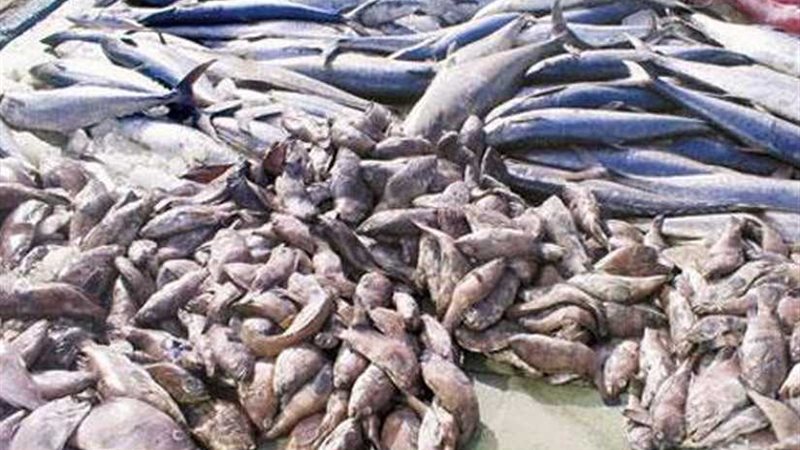 ضبط أكثر من 25 طن