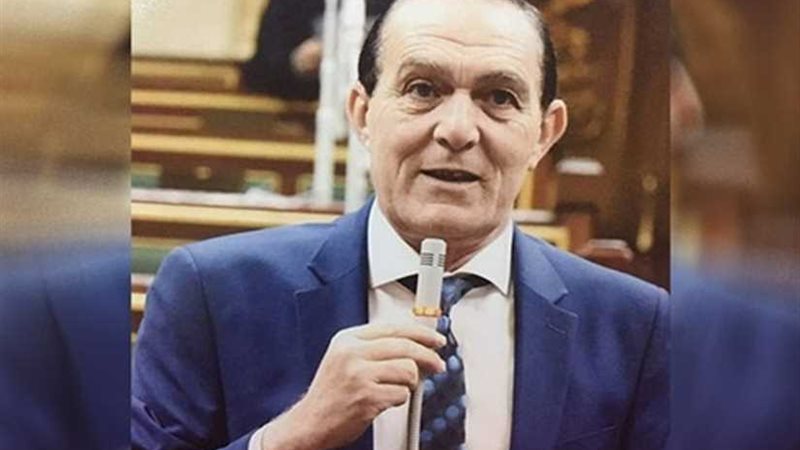 هيكل: الرئيس السيسى