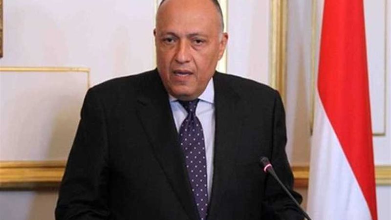 وزير الخارجية : مصر