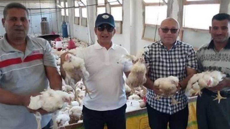 جامعة العريش مستمرة