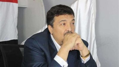 الهيئة العليا للحركة الوطنية: مواد الدستور حاكمة لمدة البرلمان الحالي ولموعد الانتخابات القادمة