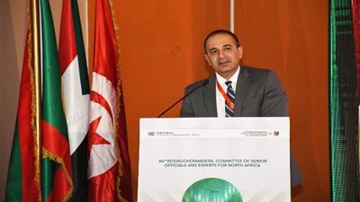 نائب وزيرة التخطيط: حجم التجارة البينية في قارة إفريقيا خلال 2018 سجل 15%
