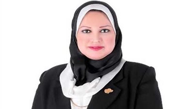 وكيل قوى النواب: سيناء ستصبح من أكبر المناطق الاقتصادية