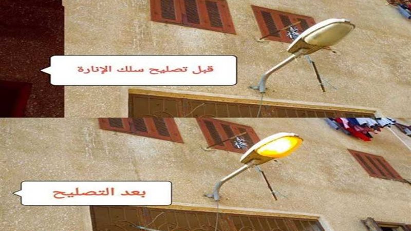 بالصور.. مستقبل وطن