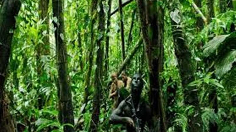 غداً.. عرض مونوز