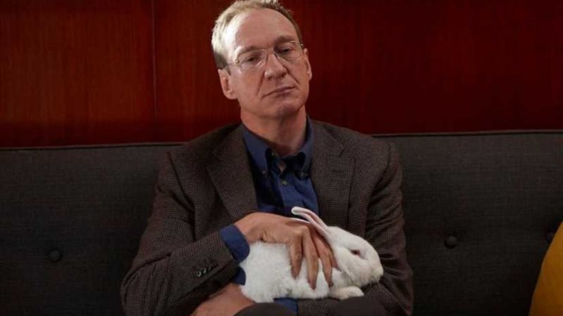 غداً.. عرض جالا للفيلم