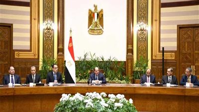 بالصور.. لقاء الرئيس بالمحافظين ونوابهم الشباب