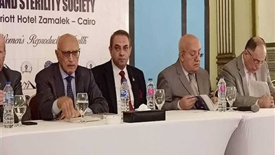 مدير مستشفى باب الشعرية: الإجهاض المتكرر هو سبب فشل عمليات الحقن المجهرى