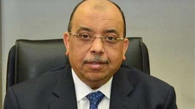 كوادر أفريقية تشيد ببرنامج التدريب الذي تنظمه وزارة التنمية المحلية بسقارة