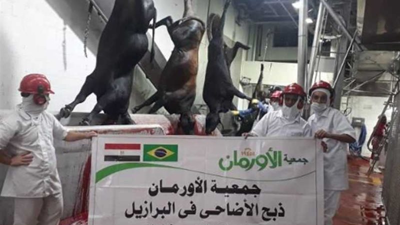 جمعية الأورمان بأسيوط