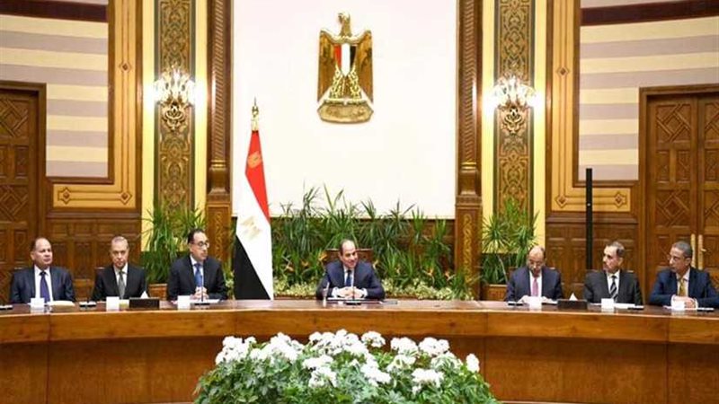 بالصور.. لقاء الرئيس