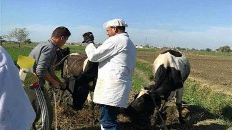 تحصين 19 ألفا و 938