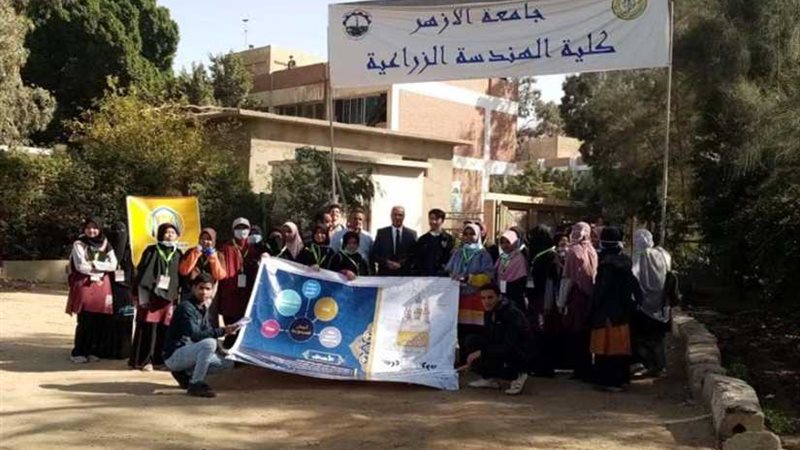 المصريون والوافدون