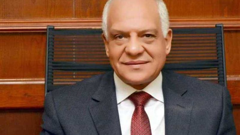 محافظ الجيزة يقود