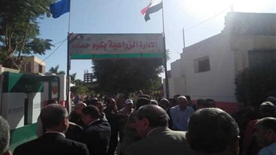 وكيل زراعة البحيرة يتفقد حديقة 