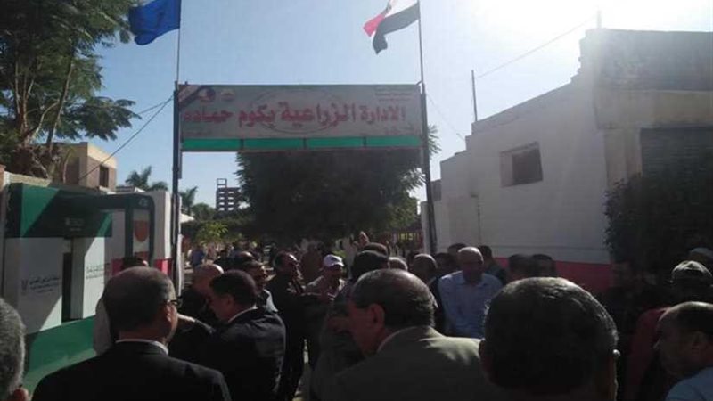 وكيل زراعة البحيرة